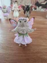 Load image into Gallery viewer, Periwinkle
