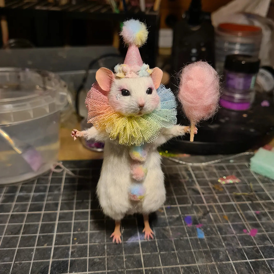 Cotton Candy Dandy!